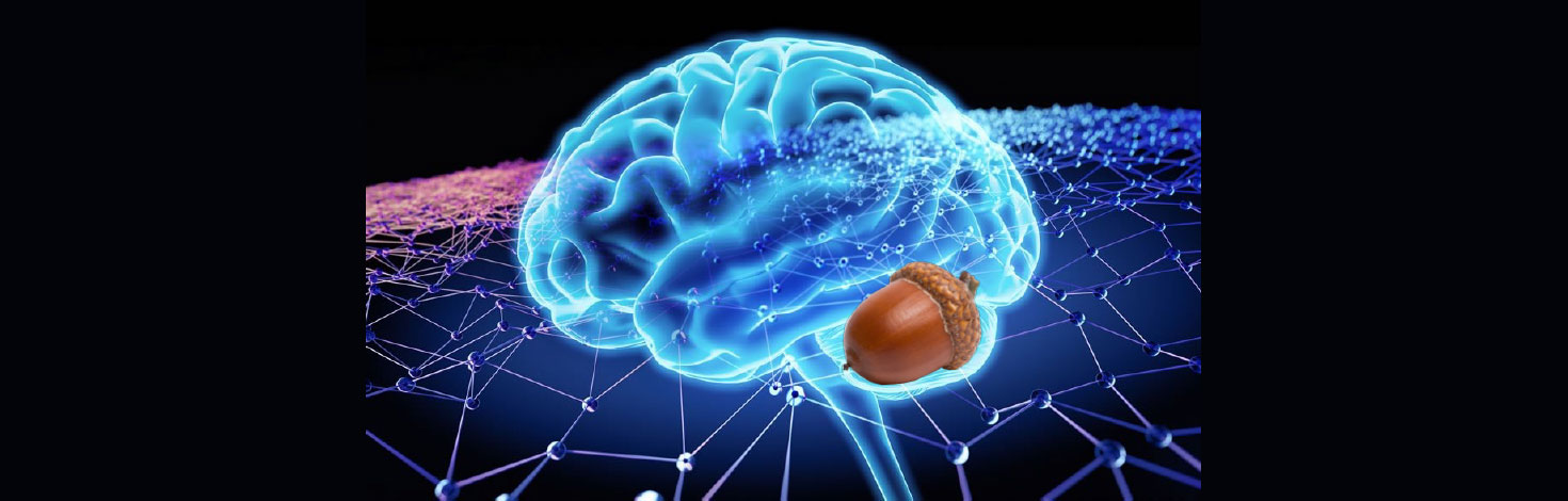 How To Build Deeper Cognitive Endurance Today